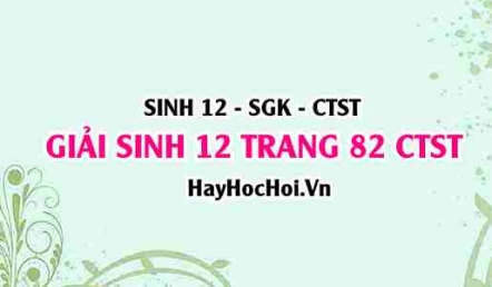 Giải Sinh 12 trang 82 Chân trời sáng tạo SGK